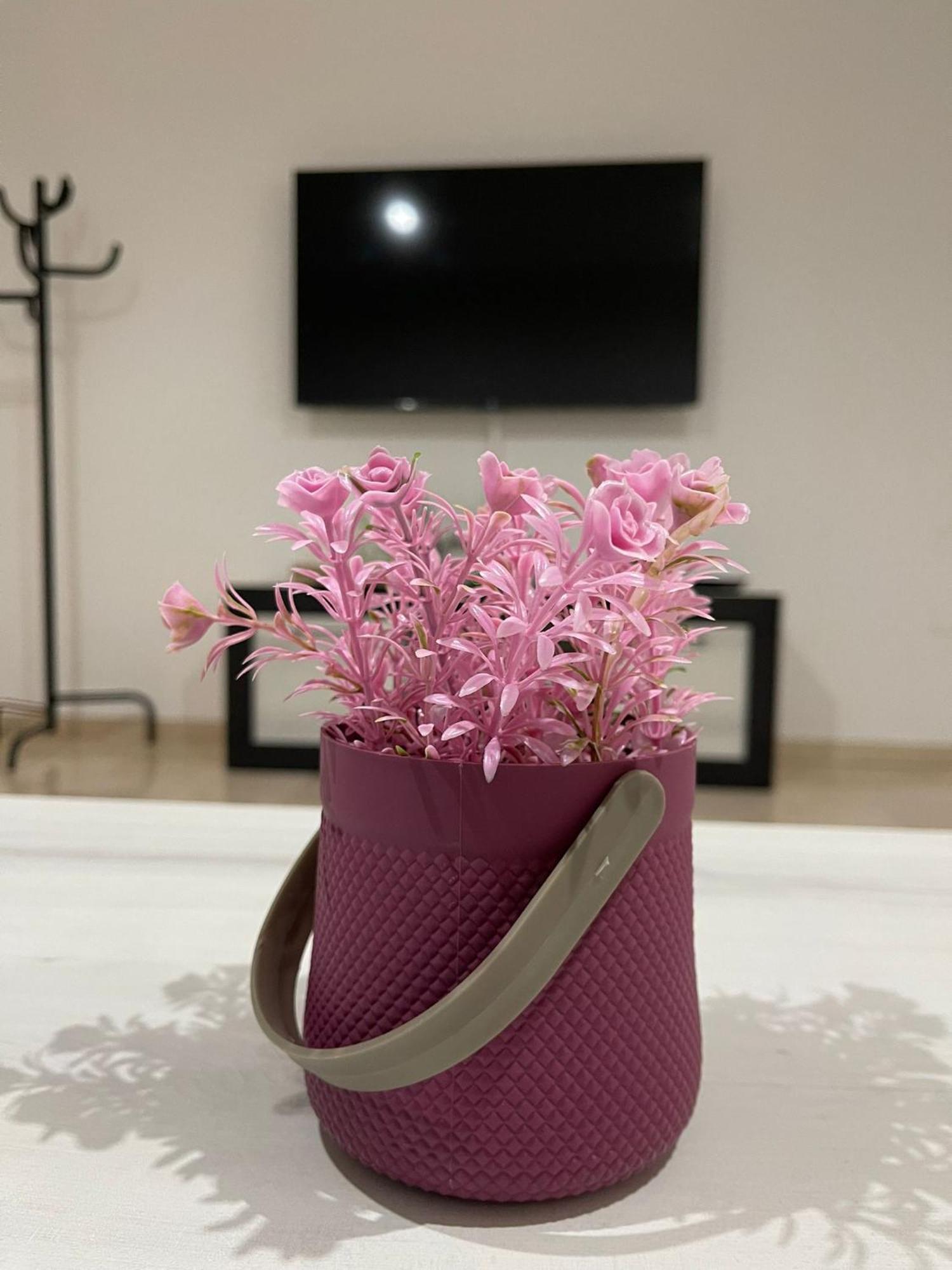 Apartament Cayla